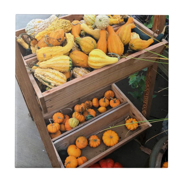 Azulejo De Cerâmica Decoração do outono (Frente)
