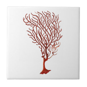 Azulejo De Cerâmica Decoração náutica morna do coral no.5 do Mar