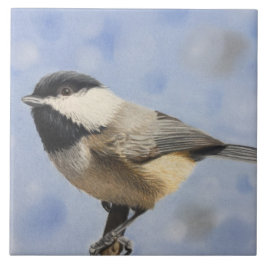 Azulejo De Cerâmica Dee do dee do Chickadee