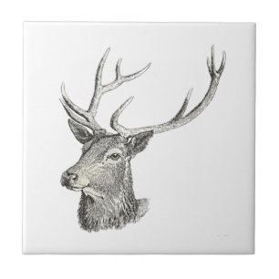 Azulejo De Cerâmica Deer Buck Head com Antlers Black and White Art