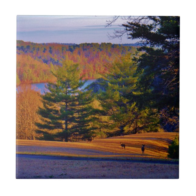 Azulejo De Cerâmica Deer & Mt Lake (Frente)