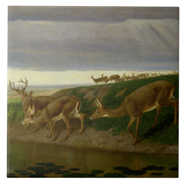 Azulejo De Cerâmica Deer on the Prairie (por William Holbrook Beard) (Frente)