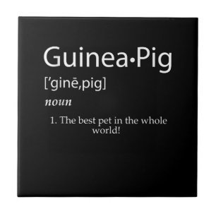 Azulejo De Cerâmica Definição De Porco Guiné - Melhor Pet Para Cria