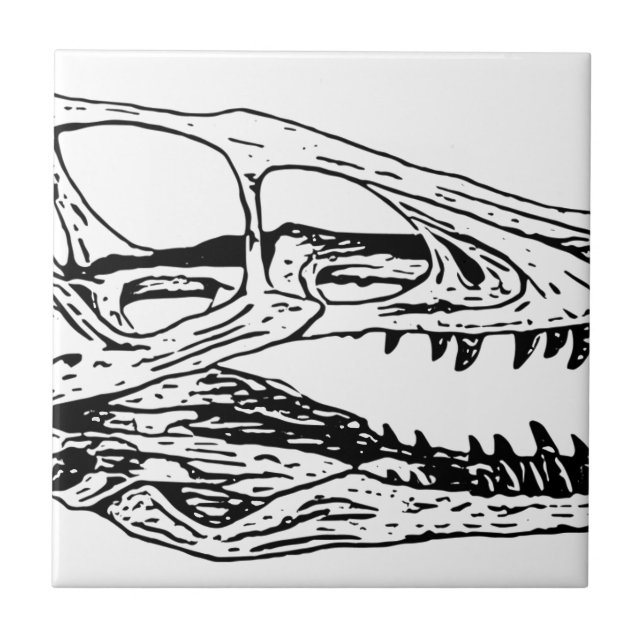 Azulejo De Cerâmica Deinonychus (Frente)