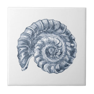 Azulejo De Cerâmica Delft Blue Ammonite Sea Shell NMaritime Beach Hous