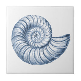 Azulejo De Cerâmica Delft Blue Nautilus Shell NMaritime Beach House