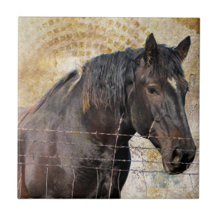 Azulejo De Cerâmica Delicado, cavalo de esboço de A