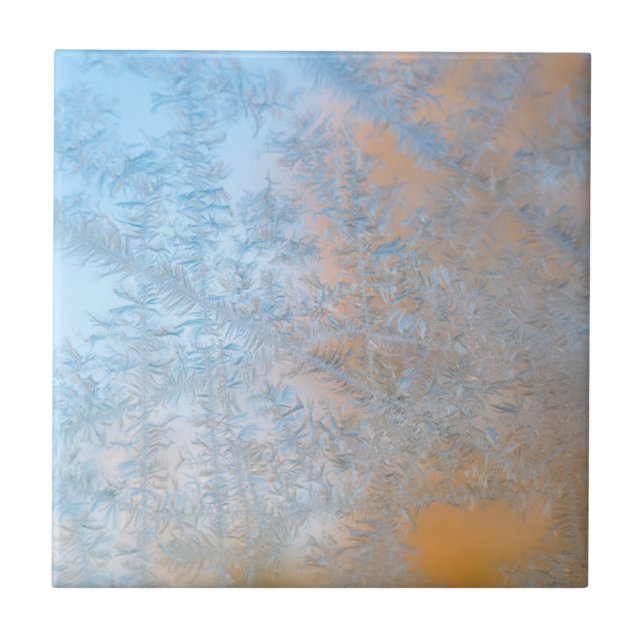 Azulejo De Cerâmica Delicate Frost, Wisconsin (Frente)