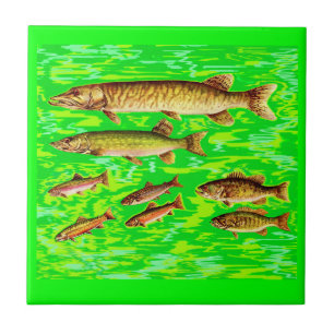 Azulejo De Cerâmica demasiados peixes no mar