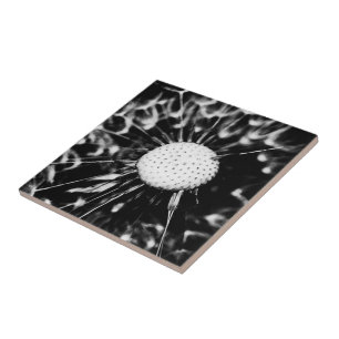 Azulejo De Cerâmica dente-de-leão preto