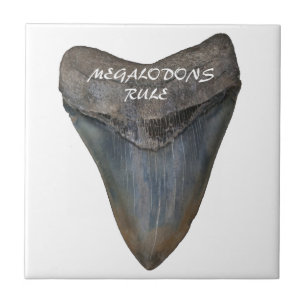 Azulejo De Cerâmica Dente do tubarão de Megalodon