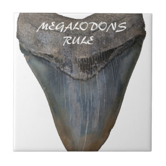 Azulejo De Cerâmica Dente do tubarão de Megalodon