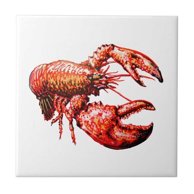 AZULEJO DE CERÂMICA  DENTRO DAS GARRAS (Frente)