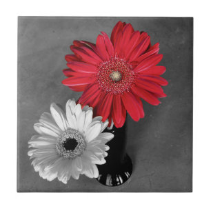 Azulejo De Cerâmica Descritivo Red Splash Gerber Daisy Em Monocromo