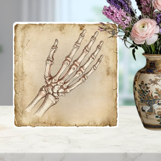 Azulejo De Cerâmica Desenho a tinta de ossos de mão anatômicos antigos