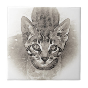 Azulejo De Cerâmica Desenho bonito do gatinho de Bengal