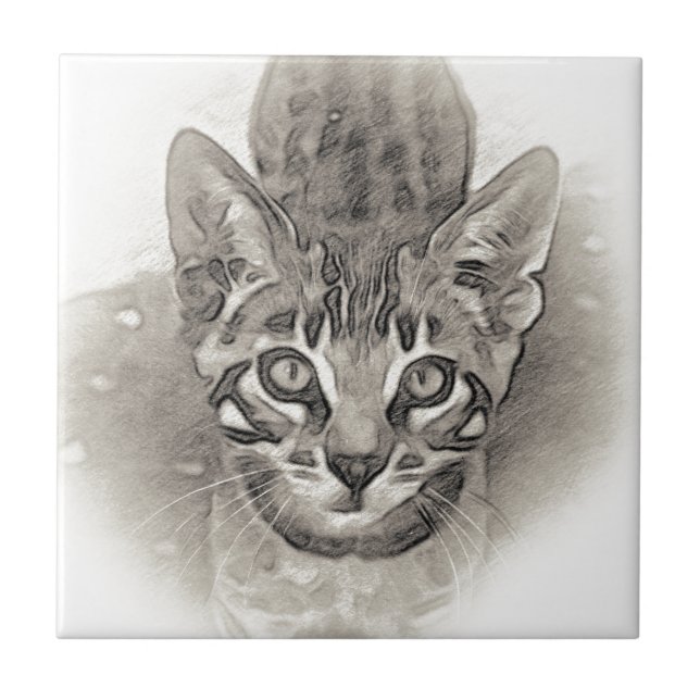 Azulejo De Cerâmica Desenho bonito do gatinho de Bengal (Frente)