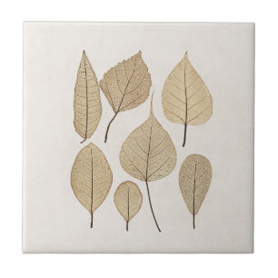 Azulejo De Cerâmica Desenho Botânico Naturalista Vintage Folhas 1858