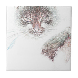 Azulejo De Cerâmica Desenho Da Cara Do Cate Cute Zangado