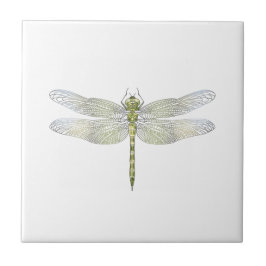 Azulejo De Cerâmica Desenho de Dragonfly elegante