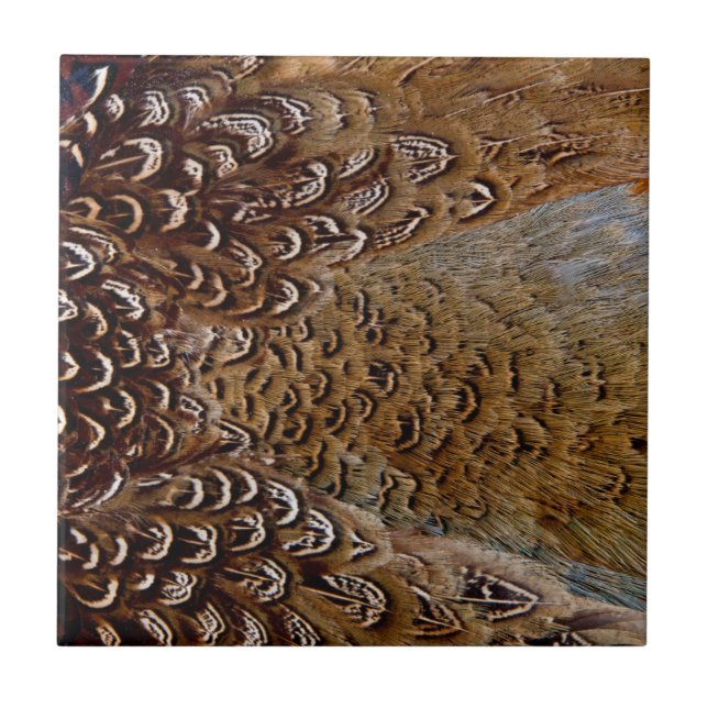 Azulejo De Cerâmica Desenho de Pena de Faisão Marrom (Frente)