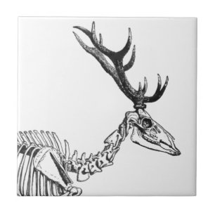 Azulejo De Cerâmica Desenho de rena de esqueleto de safra
