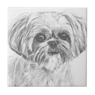 Azulejo De Cerâmica Desenho de Shih Tzu