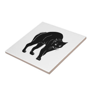 Azulejo De Cerâmica Desenho de Silhueta de Gato Preto à Espera do Hall