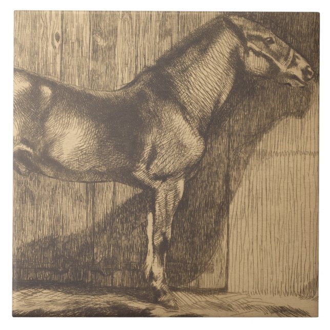 Azulejo De Cerâmica Desenho de um Pony (por Paul-Albert Besnard) (Frente)