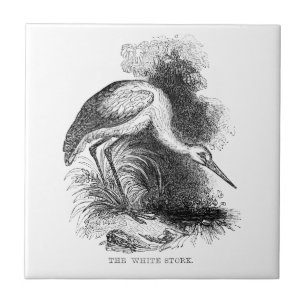 Azulejo De Cerâmica Desenho de Vida Selvagem de Aves Vintage de Stork