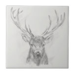 Azulejo De Cerâmica Desenho do Elk Contemporâneo<br><div class="desc">Desenho Contemporâneo de Elk II por Ethan Harper. Apresenta o retrato de um alce esboçado a lápis.</div>
