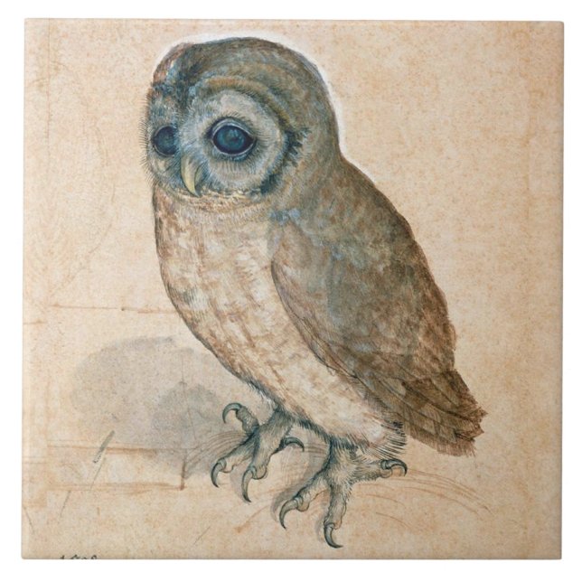 AZULEJO DE CERÂMICA  DESENHOS DE ANIMAIS DE RENAÍSCIA/OWL (Frente)
