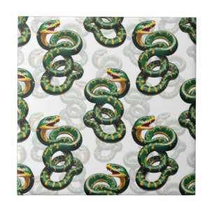 Azulejo De Cerâmica Design Cobra de padrão de fundo branco