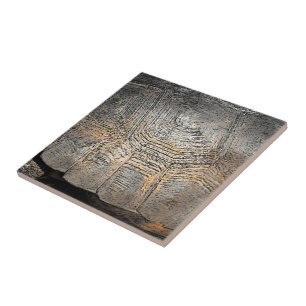 Azulejo De Cerâmica Design da concha de tartaruga do Gopher