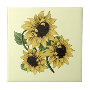 Azulejo De Cerâmica Design do girassol da aguarela do vintage