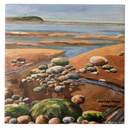 Azulejo De Cerâmica Desloca-se para a Cena do Oceano de Praia em Sede