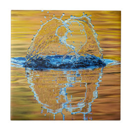 Azulejo De Cerâmica Despejo na noite de outono