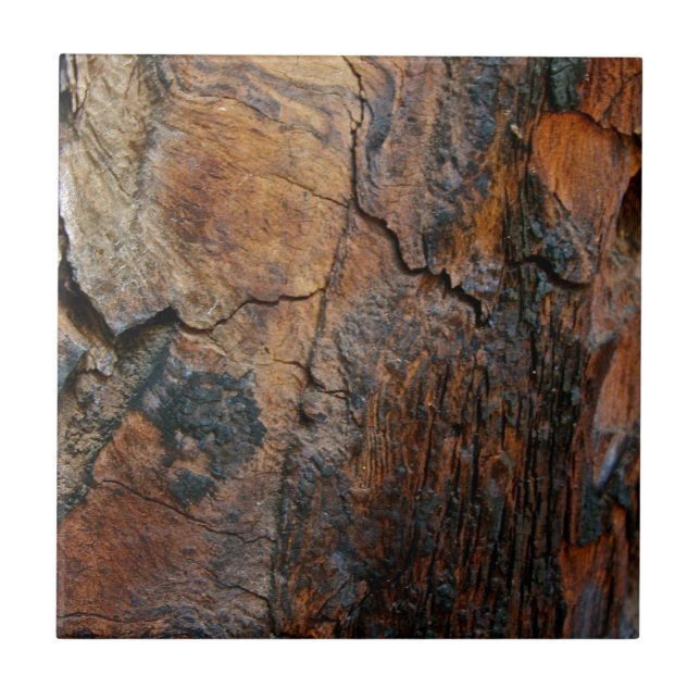 AZULEJO DE CERÂMICA  DETALHE DA CASCA DA SEQUÓIA QUEIMADA (Frente)