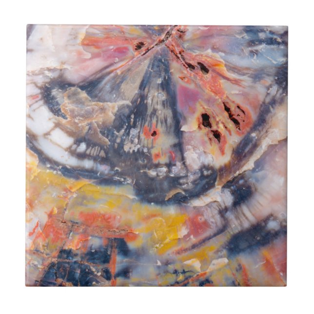 Azulejo De Cerâmica Detalhe da madeira Petrificada, Arizona (Frente)