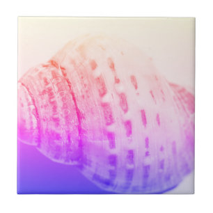 Azulejo De Cerâmica Detalhes da estrutura de textura da casca do ocean