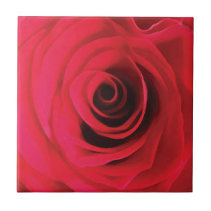 Azulejo De Cerâmica Detalhes do bud de rosa de cor aquosa vermelha