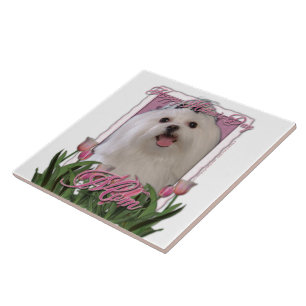 Azulejo De Cerâmica Dia das mães - tulipas cor-de-rosa - maltês