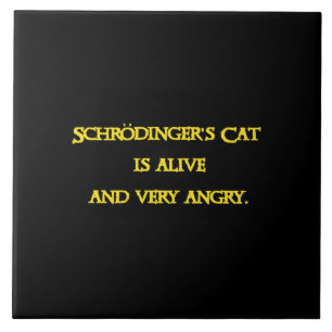 Azulejo De Cerâmica Dilema Quântico Divertido - O Gato de Schrödinger