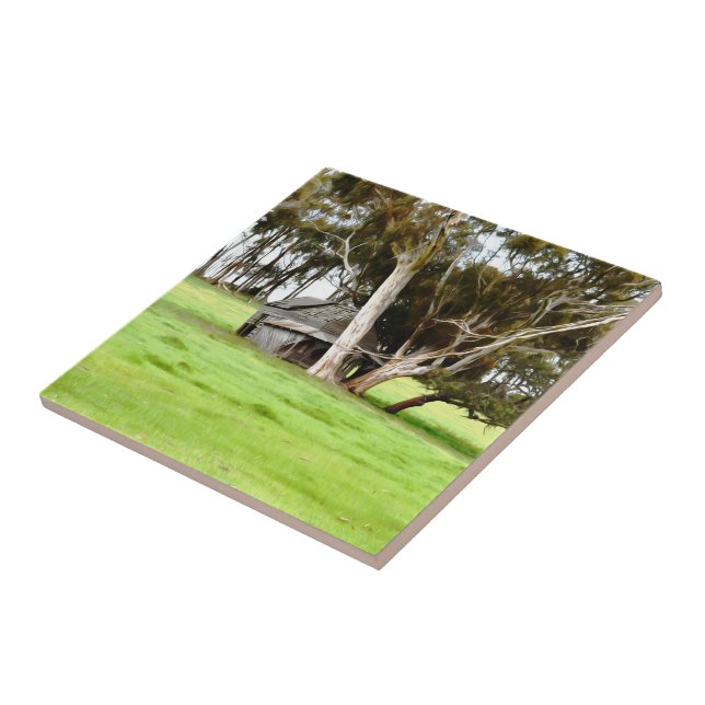 Azulejo de cerâmica do velho caco de madeira (Lateral)