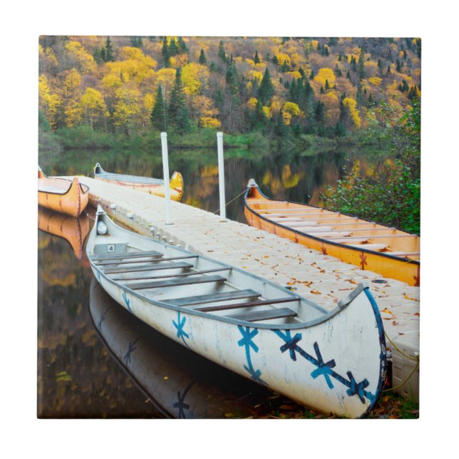 Azulejo De Cerâmica Doca de Rivière Jacques-Cartier | Rabaskas (Frente)