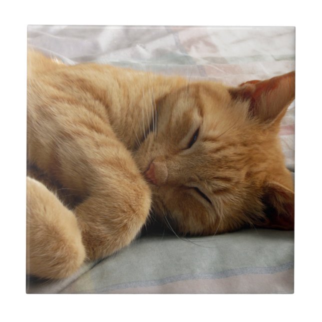 Azulejo De Cerâmica Doces Sonhos (Frente)