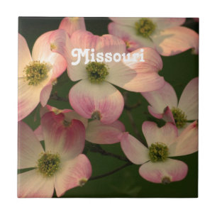 Azulejo De Cerâmica Dogwood
