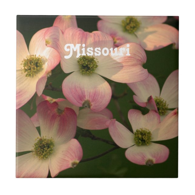 Azulejo De Cerâmica Dogwood (Frente)