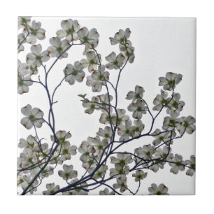 Azulejo De Cerâmica Dogwood Flor Branco