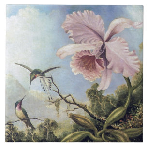 Azulejo De Cerâmica Dois beija-flores e uma orquídea